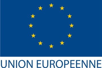 UNION EUROPÉENNE - Délégation en République du Niger : Vente par adjudication publique (Quinze (15) groupes électrogènes en l’état