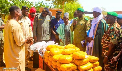 Région de Zinder : plus de 30 000 comprimés et 22,2 kg de cannabis saisis à Kantché, un Nigérian interpellé