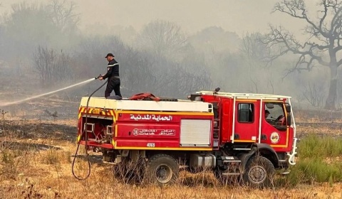 Algérie : un deuil national de 3 jours après des dizaines de morts dans des incendies