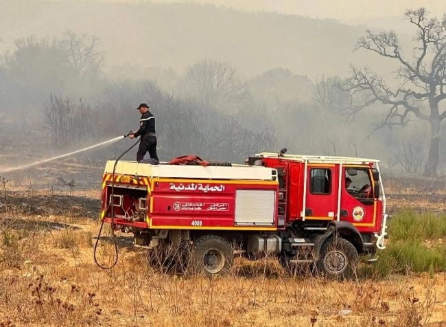 Algérie : un deuil national de 3 jours après des dizaines de morts dans des incendies