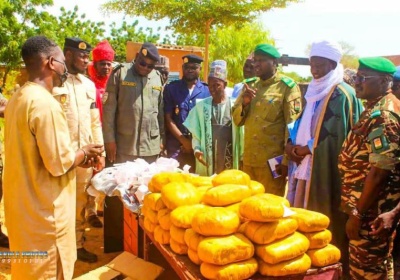 Région de Zinder : plus de 30 000 comprimés et 22,2 kg de cannabis saisis à Kantché, un Nigérian interpellé