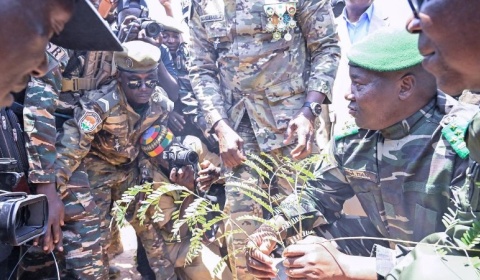3e édition de la Journée Nationale de l'Arbre : à Maradi, une célébration sous le signe du développement durable et de l’hommage à la résistance coloniale