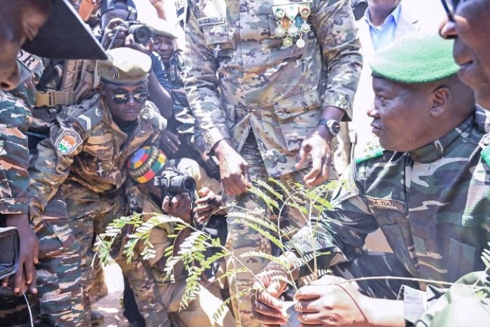 3e édition de la Journée Nationale de l'Arbre : à Maradi, une célébration sous le signe du développement durable et de l’hommage à la résistance coloniale