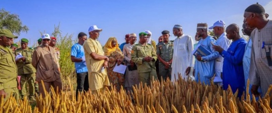 Suivi de la campagne agro-pastorale : le ministre Bilaly dans la région de Niamey