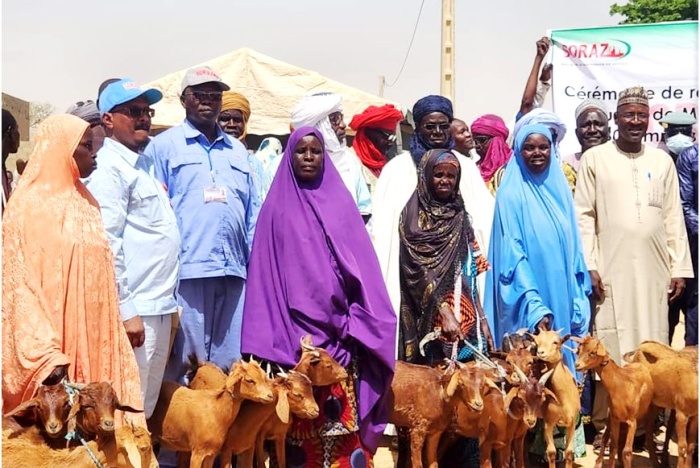 La SORAZ renforce son engagement sociétal : 240 chèvres rousses de Maradi remises à 80 femmes des villages riverain