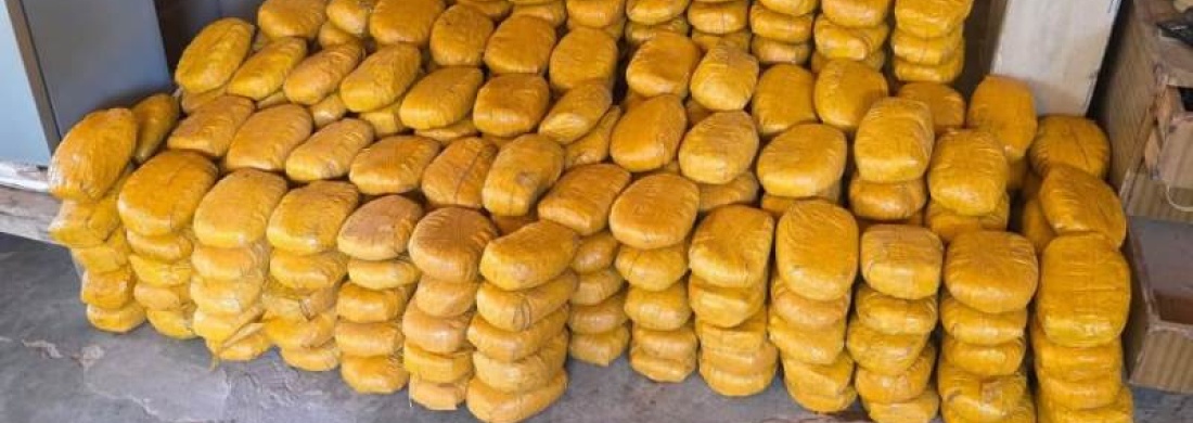Zinder : 285 briques de chanvre indien saisies par les Douanes près de Gora
