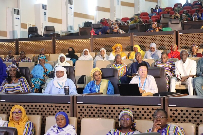 Conference Gyneco Niamey