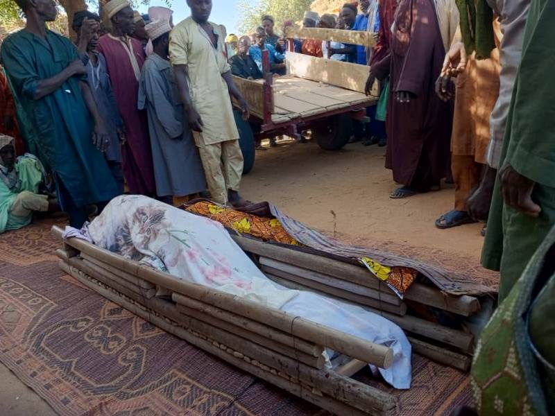 Insécurité: 3 morts, 4 otages et des animaux emportés suite à des attaques dans le département de Madarounfa (Région de Maradi)