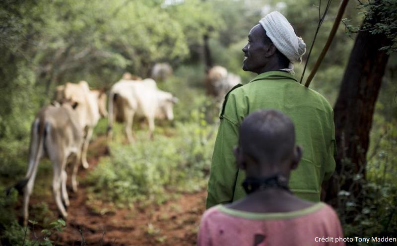 agriculteurs eleveurs africains