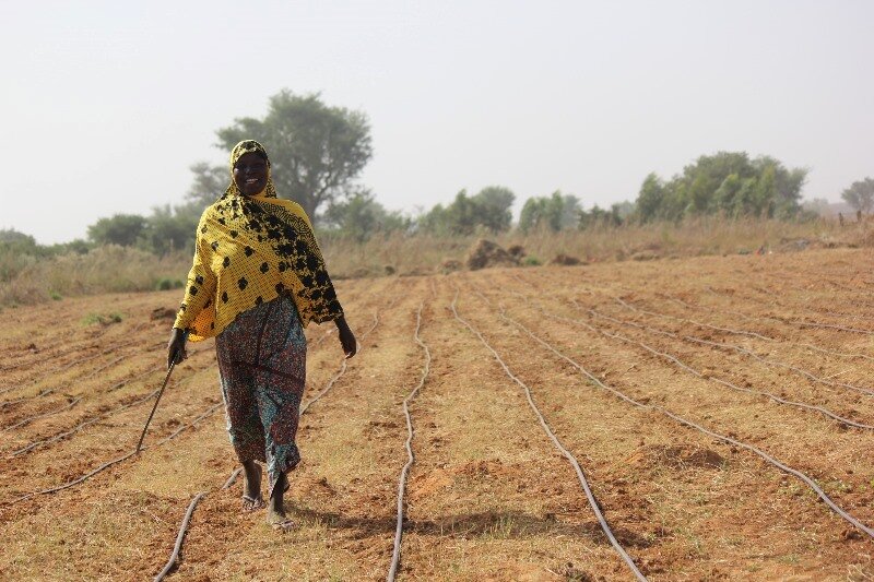 agriculteurs nigeriens