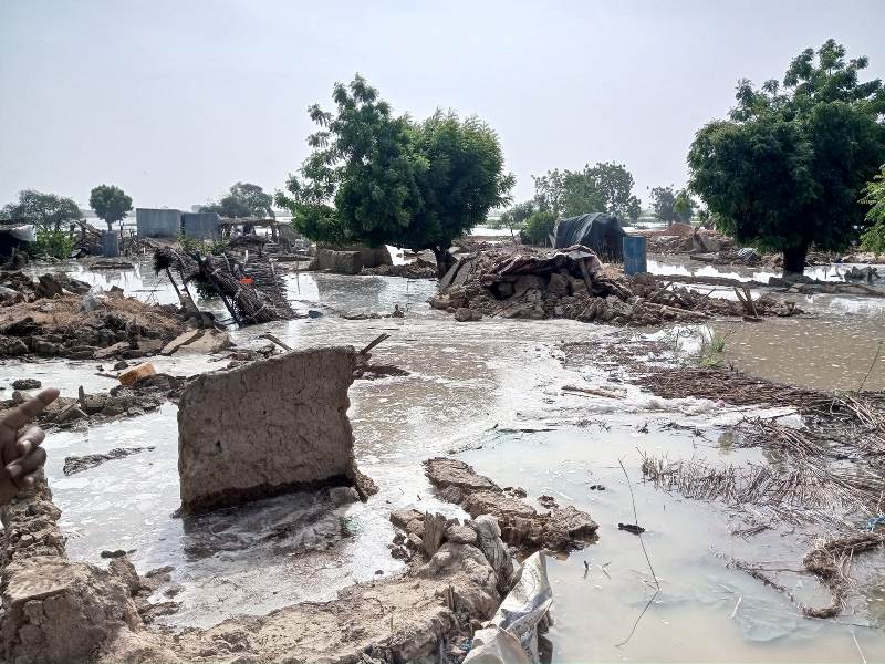 inondations Niger image