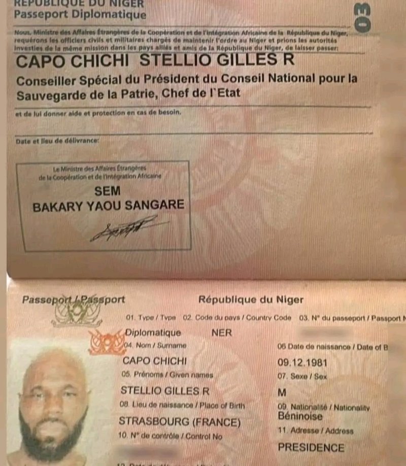 Passeport nigerien Kemi Seba Ne