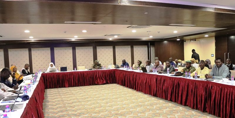 Atelier GIZ Climate Analytics Niamey BIS2