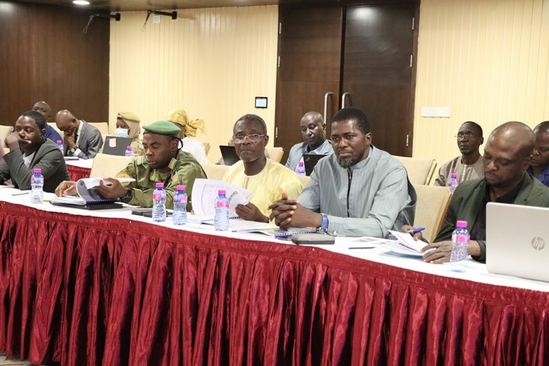 Atelier GIZ Climate Analytics Niamey BIS4