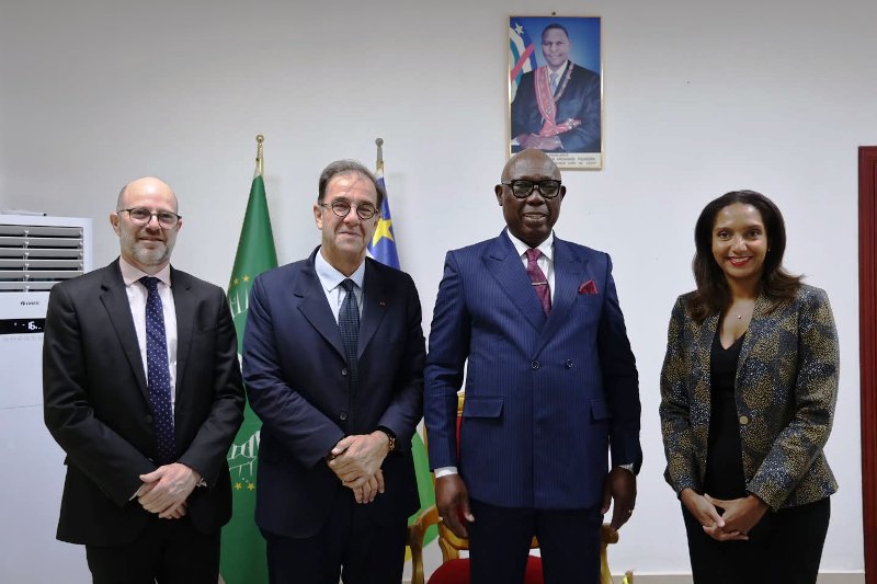 Centrafricains et francais partenariat