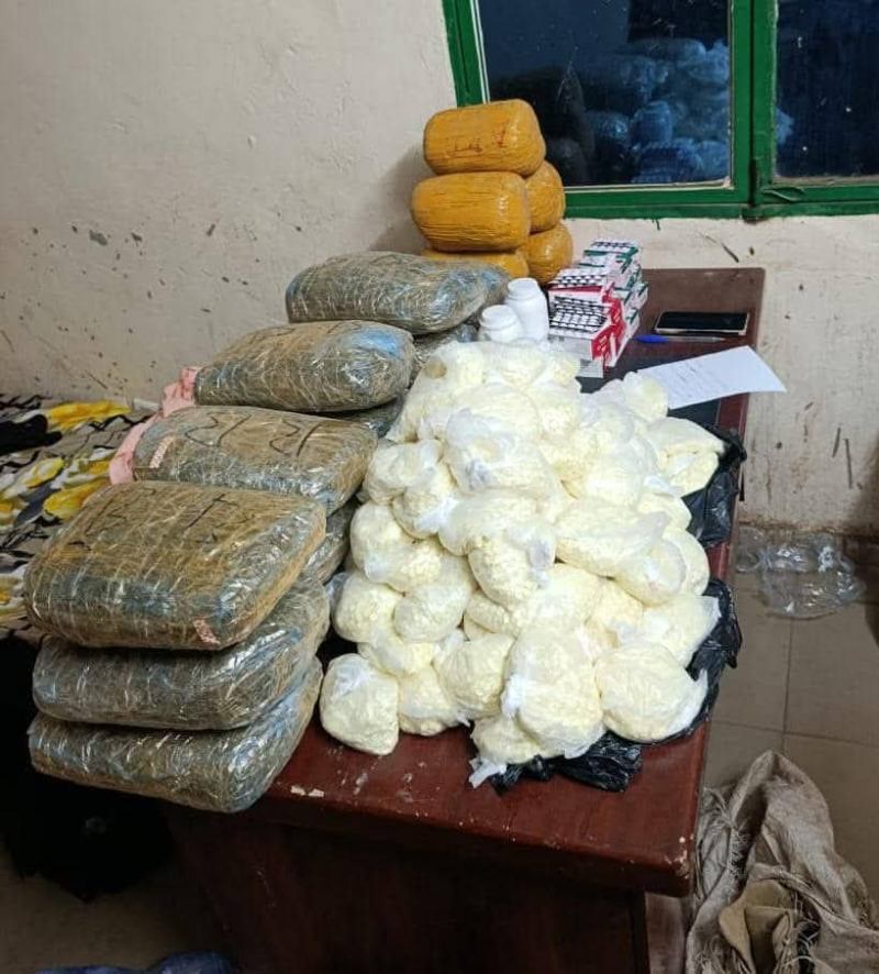 Drogue saisi Gaya 25 02 206