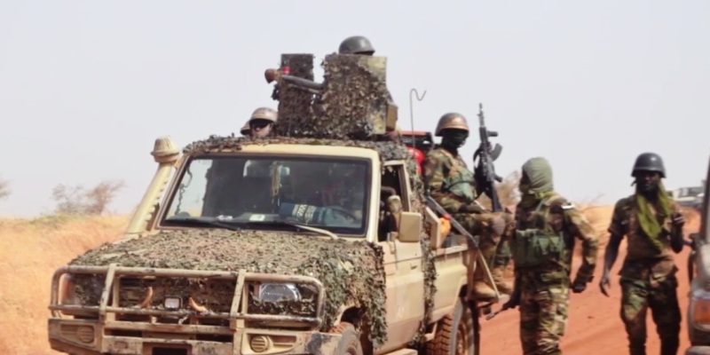 FDS nigeriens operation NIYA