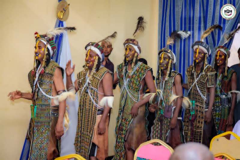 ParticipationEMMNRConferenceMIRNigerBIS3