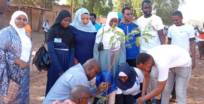 Plantation arbres UN80 Niamey BIS