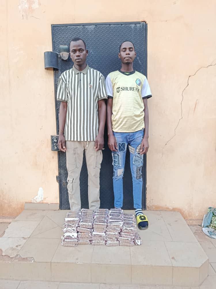 jeunes arretes Tramadol