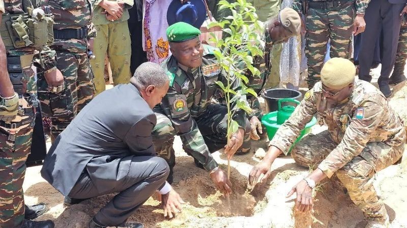 plantation arbre 03 08 2025