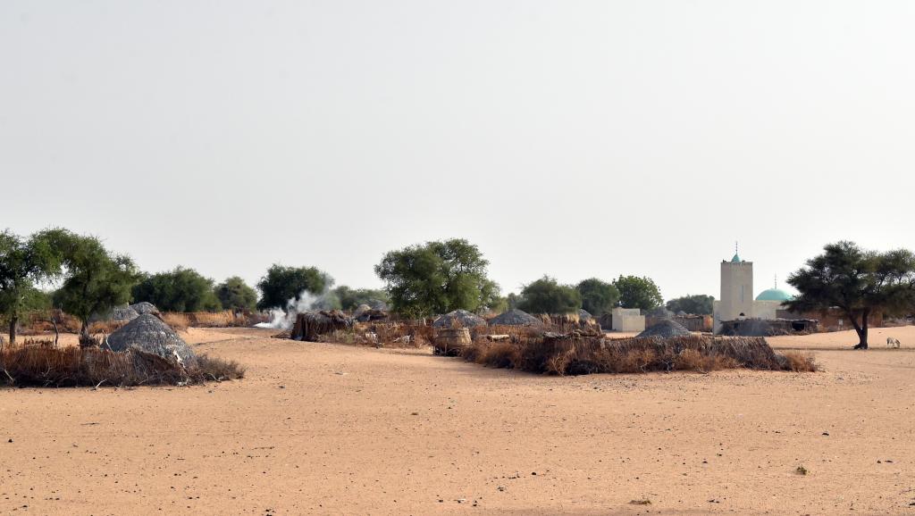 la localite de bosso dans la region de diffa au niger 0