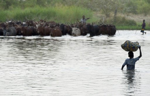 Des villageois au bord du lac Tchad le 11 mars 2015