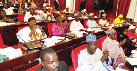 Deputes nigeriens loi des finances 