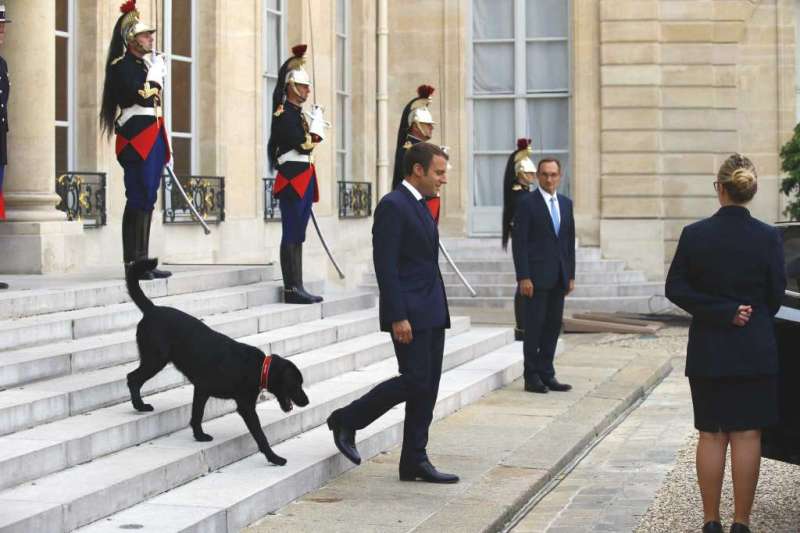 Macron et son chien1