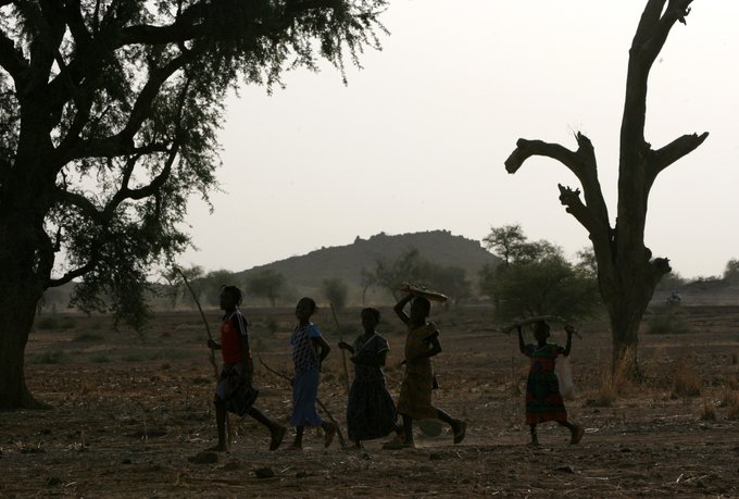 jeunes africains