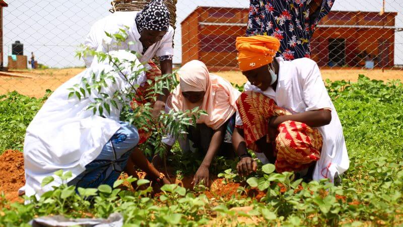 Sur le Site dApprentissage Agricole SAA de Say