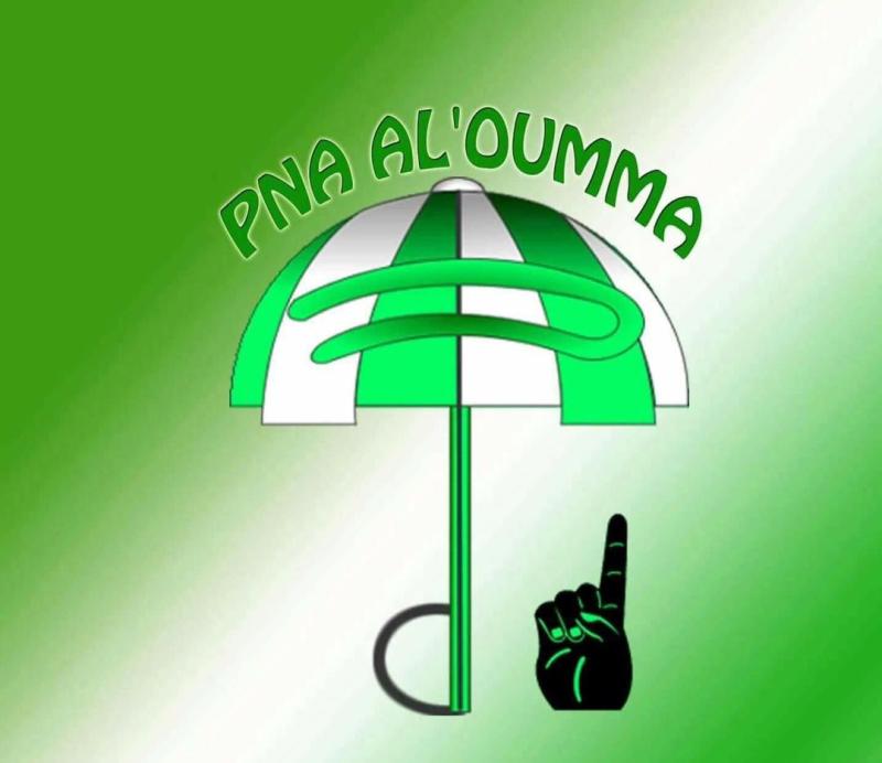 pna alouma logo