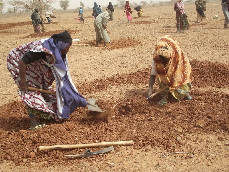 Femmes rurales nigeriennes