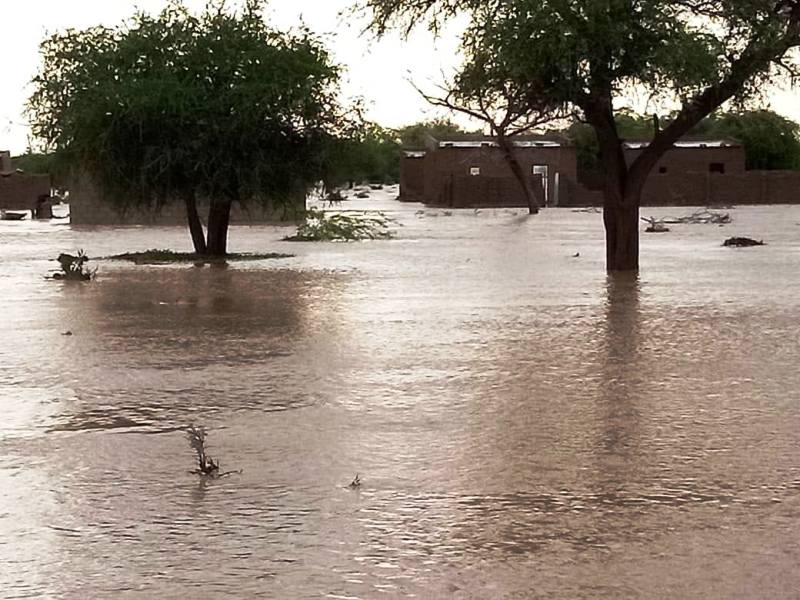 Inondation Niger 2020 BIS4