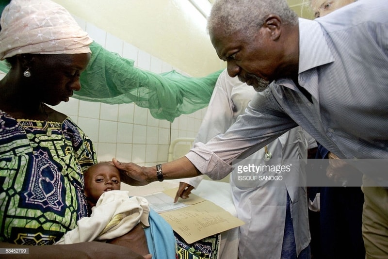 Kofi Annan visit Niger min