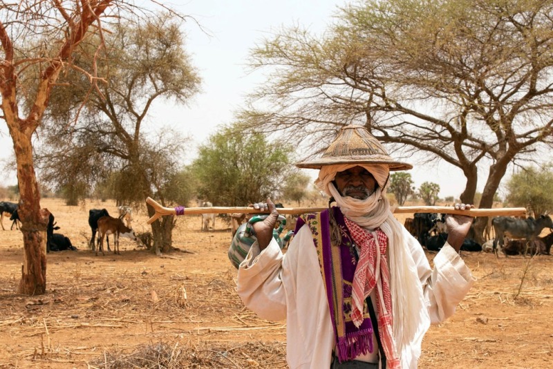 aide humanitaire sahel