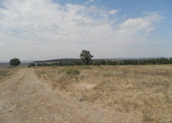 hectares de terre agricole