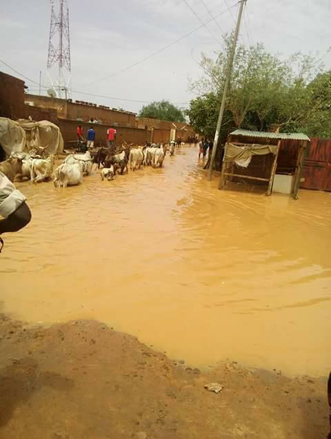 inondations Niamey 13-06-2017 BIS1