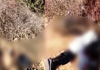 Opérations antiterroristes dans la région de Tillabéri : 14 criminels neutralisés, une attaque contre des civils fait 3 morts et 4 blessés