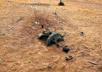 Insécurité : au moins 8 civils tués par l’explosion d’une mine artisanale près de Baroua (Diffa)