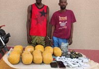 Agadez : deux trafiquants de drogue interpellés par la Garde nationale à Ingall