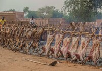 Aïd el-Hada 2025 au Niger : la fête de la Tabaski fixée au vendredi 6 juin