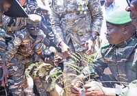 3e édition de la Journée Nationale de l'Arbre : à Maradi, une célébration sous le signe du développement durable et de l’hommage à la résistance coloniale