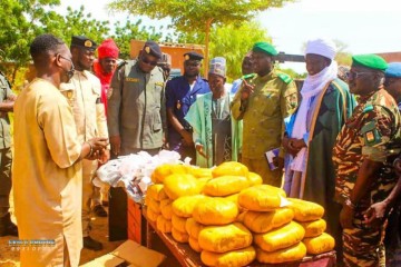 Région de Zinder : plus de 30 000 comprimés et 22,2 kg de cannabis saisis à Kantché, un Nigérian interpellé