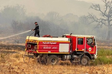 Algérie : un deuil national de 3 jours après des dizaines de morts dans des incendies