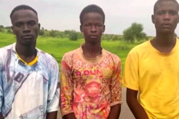 Diffa : un réseau armé démantelé par les forces de sécurité