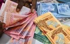 Franc CFA : le Niger, le Mali et le Burkina Faso à la croisée des chemins monétaires (Par Salifou Ibrahim – Économiste, consultant indépendant)