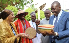 Nations Unies : le Malien Mamadou N'Daw, nouveau Représentant résident du PNUD au Niger