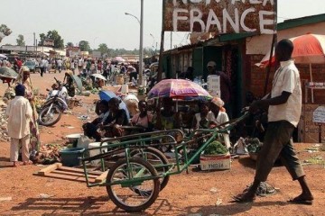 L'Afrique, un continent aux opportunités multiples pour booster l'économie française (Par Drissa Traoré)