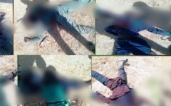 Incursion terroriste à Garchinligui (Diffa) : les FDS libèrent tous les otages et neutralisent neuf assaillants de l’EIAO